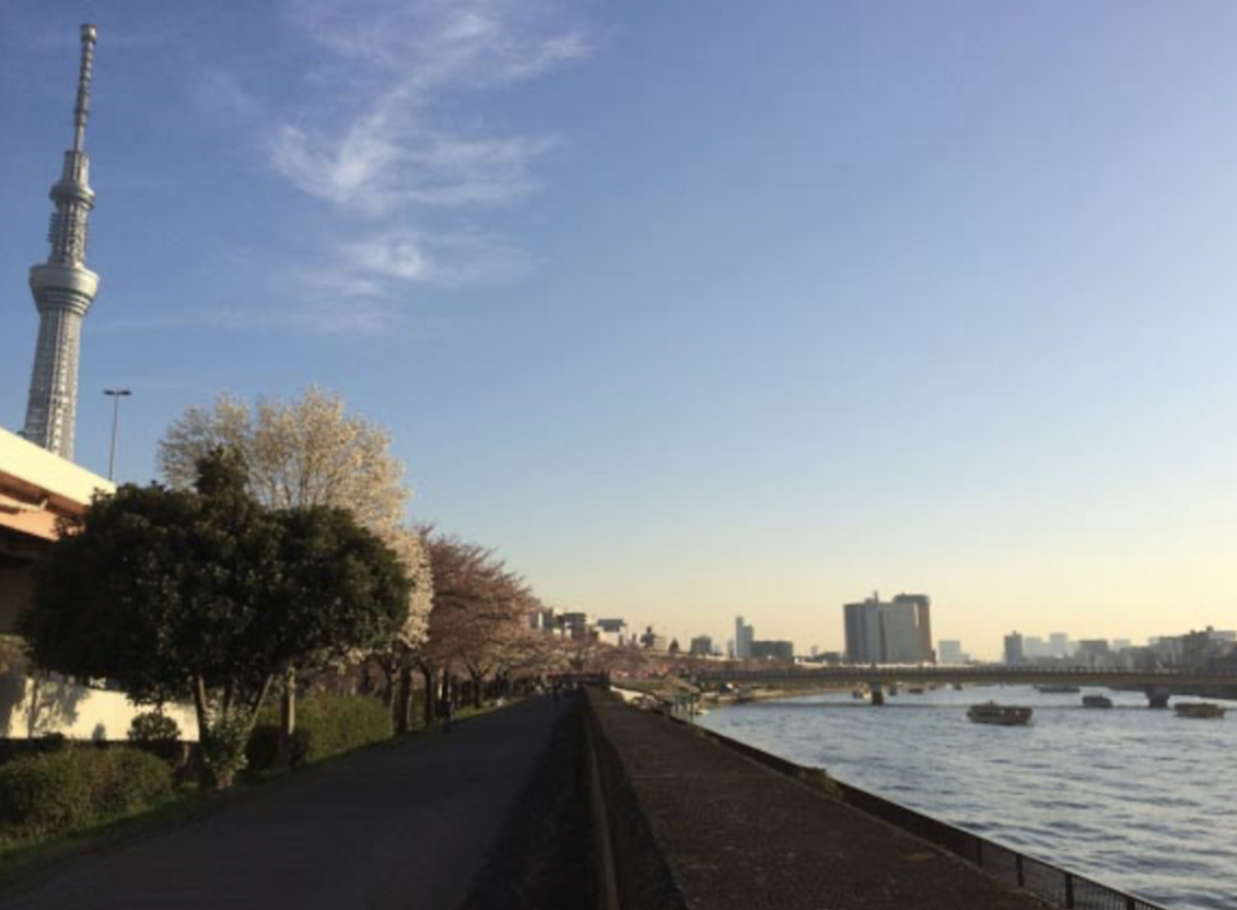 2023隅田川花火大会绝密观赏点揭秘 I16