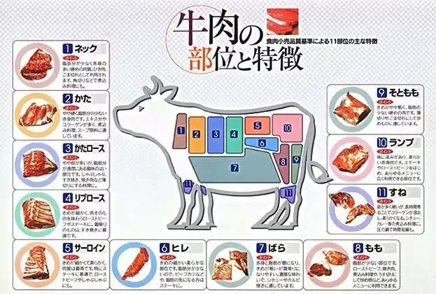 【日本烧肉指南】了解日本菜单和烤肉知识 I37