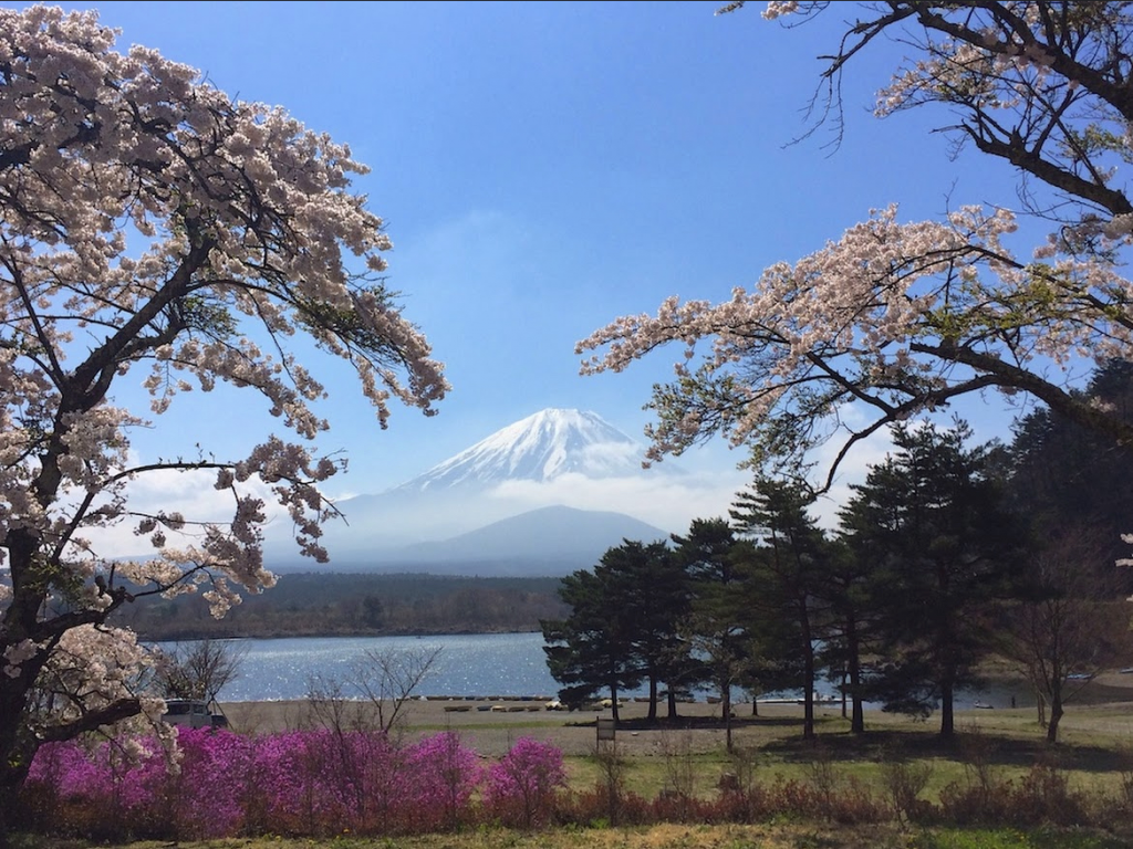 【日本旅行指南】东京近郊免预约宿营地推荐 I41