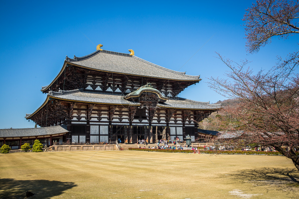 【日本旅游攻略】奈良旅行指南 I44