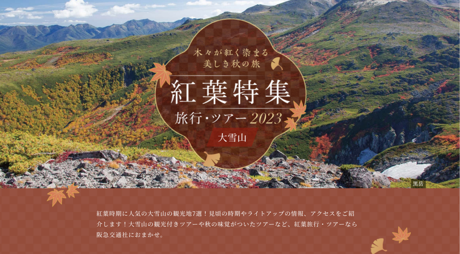 2023年日本最早的绝美红叶哪里看 I48