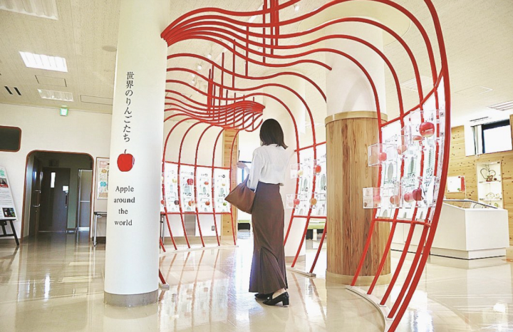 jr pass涨价前最后一波羊毛！日本东北地区深度旅行 I40