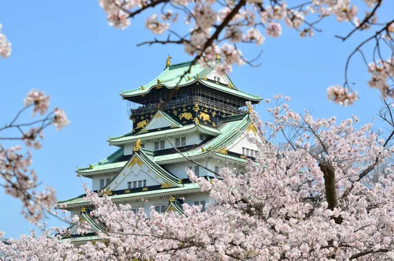 日本追樱花必看！热门樱花景点 35 选＆满开预测指南，错过只能等明年啦！