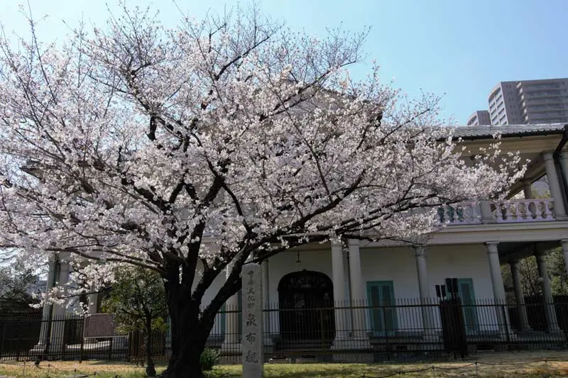 日本追樱花必看！热门樱花景点 35 选＆满开预测指南，错过只能等明年啦！