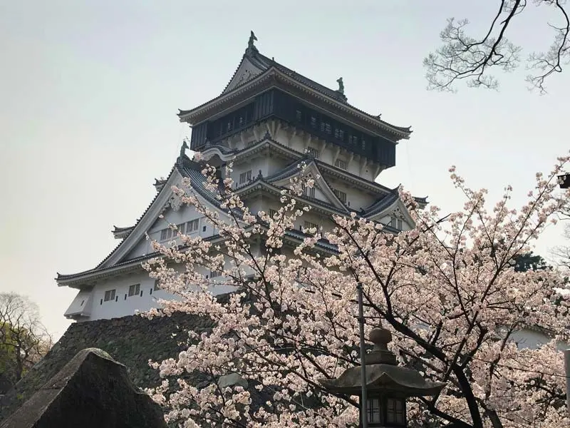 日本追樱花必看！热门樱花景点 35 选＆满开预测指南，错过只能等明年啦！