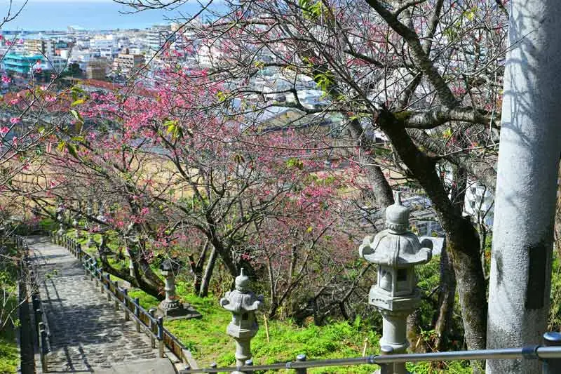 日本追樱花必看！热门樱花景点 35 选＆满开预测指南，错过只能等明年啦！