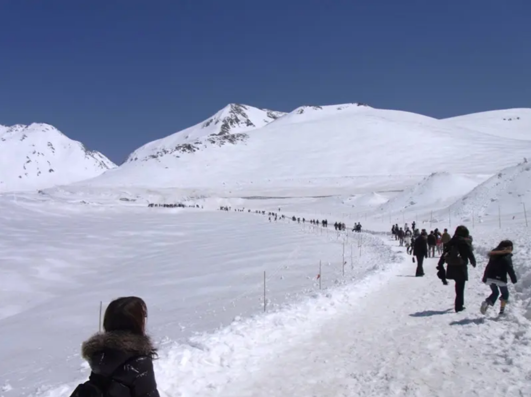 2024立山黑部4月正式开山！「雪之大谷漫步节」30周年活动抢先看