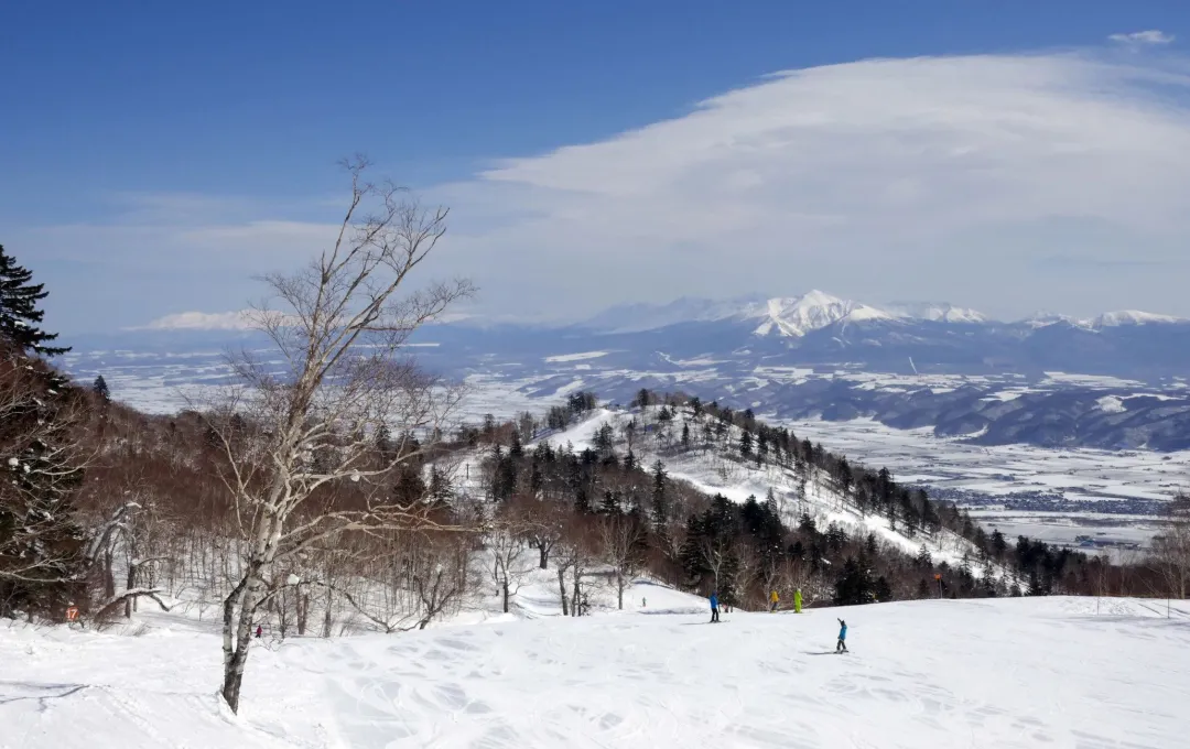 省钱畅游北海道 札幌/小樽/登别/美瑛/富良野景点交通推荐