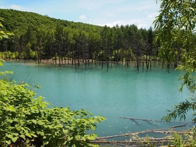 省钱畅游北海道 札幌/小樽/登别/美瑛/富良野景点交通推荐