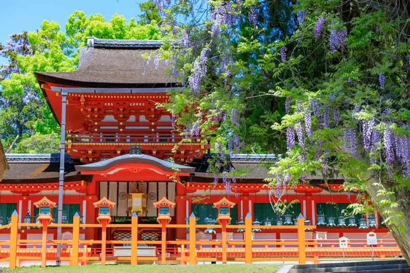 奈良不止有小鹿！7大必去旅游景点/地图/交通/美食推荐