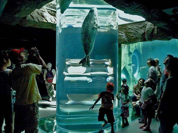 日本最有名气动物园：超过800万人游览，门票却60元不到