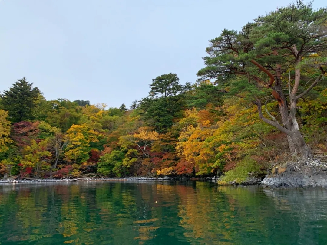 在青森开启自然之旅 看湖光山色 漫步茂密森林