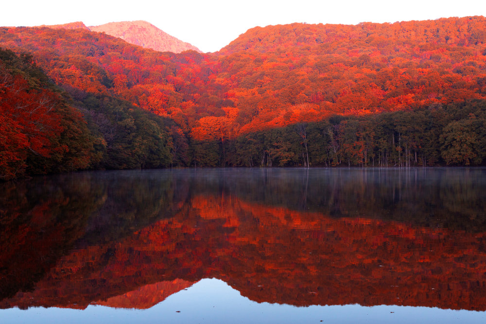 日本深秋---那些隔着屏幕被美哭的地方