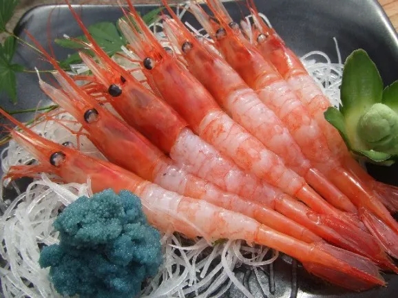 福井县美食 | 不愧是北陆海鲜名产地，看这虾子就可以馋哭了