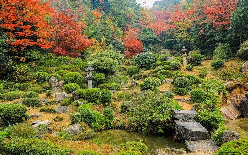 原来这就是五彩斑斓的秋——敦贺西福寺赏枫