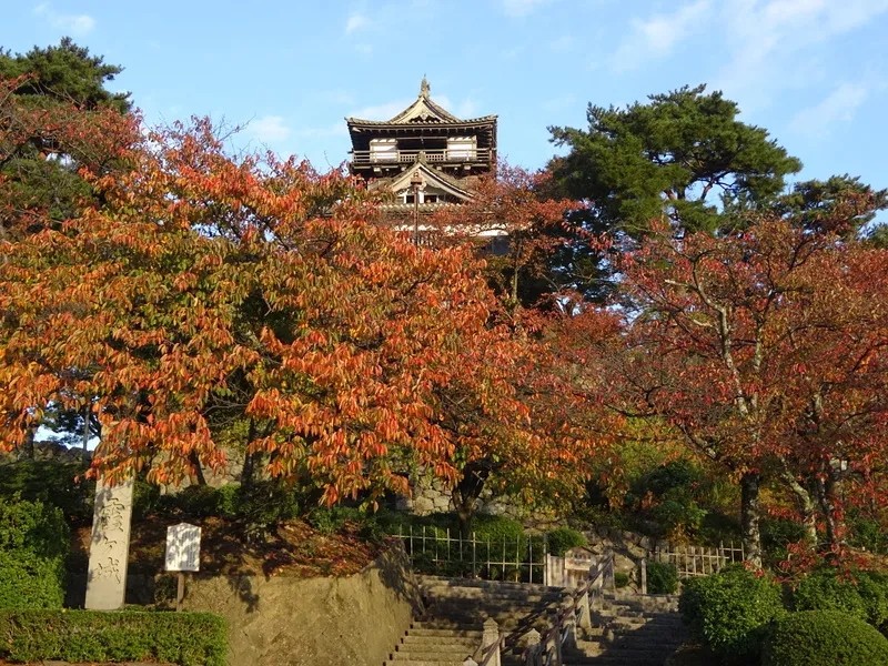 秋日红叶狩，尽在丸冈城--日本红叶季