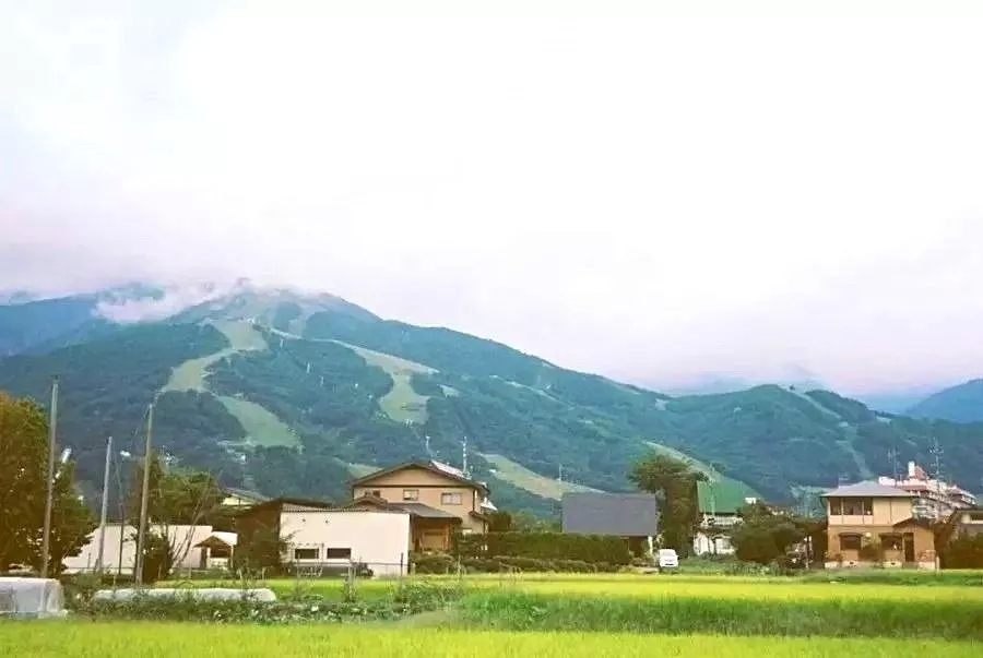 岁月静好，与世无争---日本长野 静谧之旅