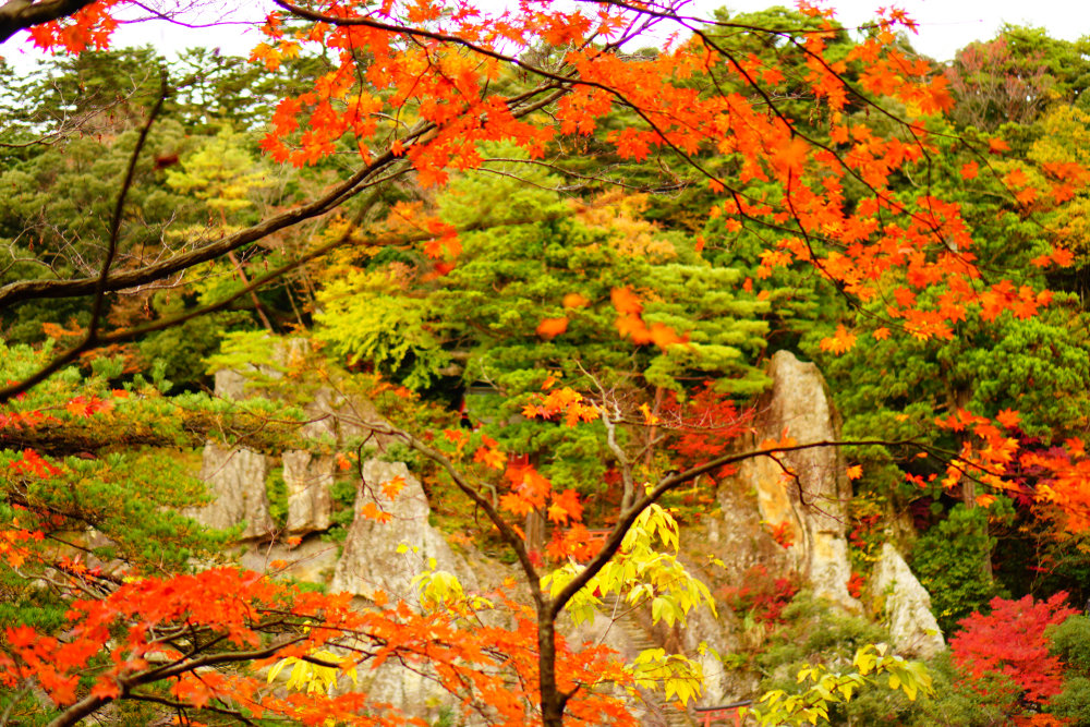 从俳句的季语看日本的秋天
