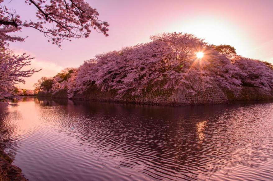 琵琶湖不仅生产SK2的水，还有你想要的梦幻湖景