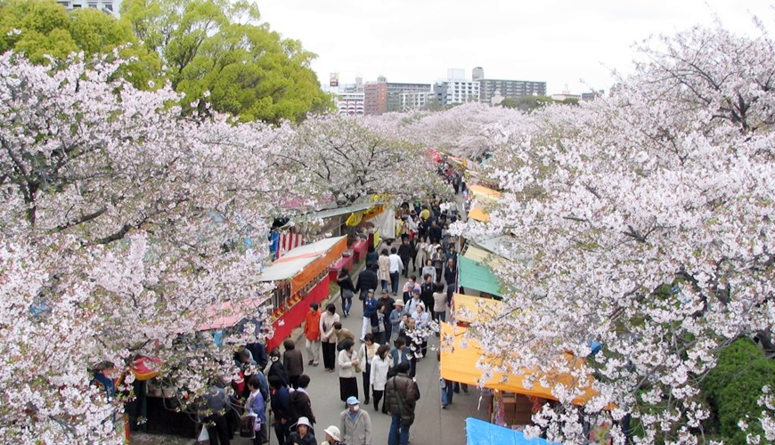 2020大阪赏樱景点推荐！造币局樱花隧道、大阪城夜樱超浪漫！