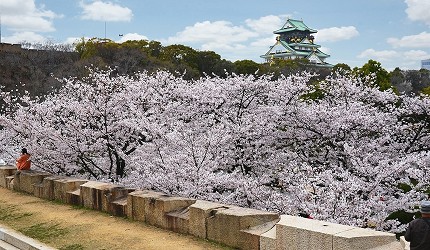 2020大阪赏樱景点推荐！造币局樱花隧道、大阪城夜樱超浪漫！