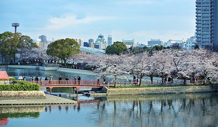 2020大阪赏樱景点推荐！造币局樱花隧道、大阪城夜樱超浪漫！