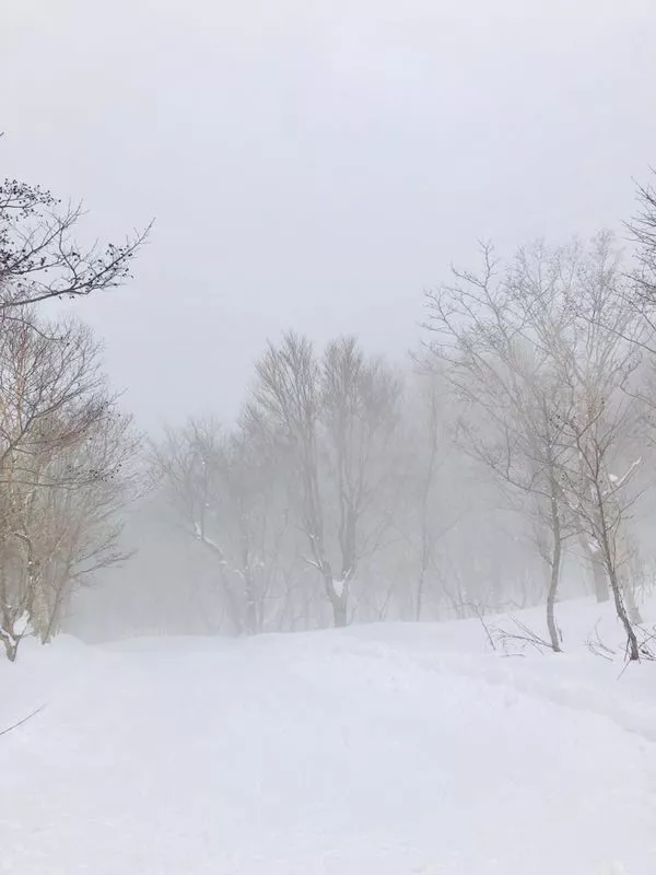 滑雪胜季 | 日本东北地区的那些滑雪胜地大盘点！