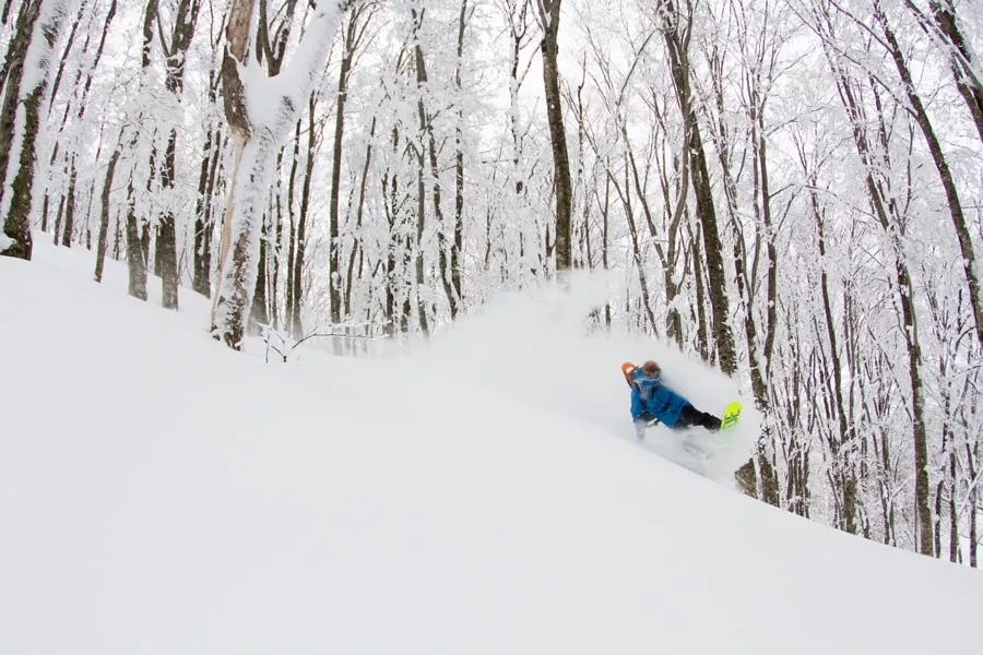 滑雪胜季 | 日本东北地区的那些滑雪胜地大盘点！