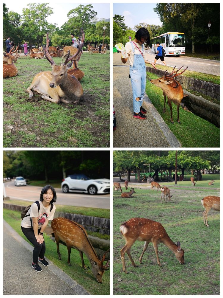 与女儿的日本京阪八日游