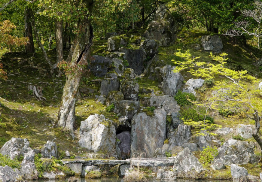 空间艺术的精髓 日本庭园