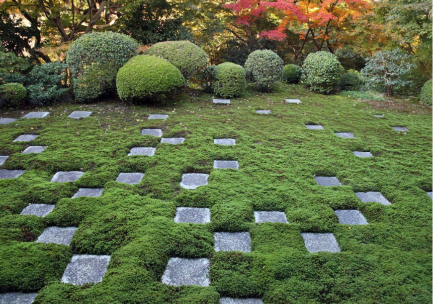 空间艺术的精髓 日本庭园