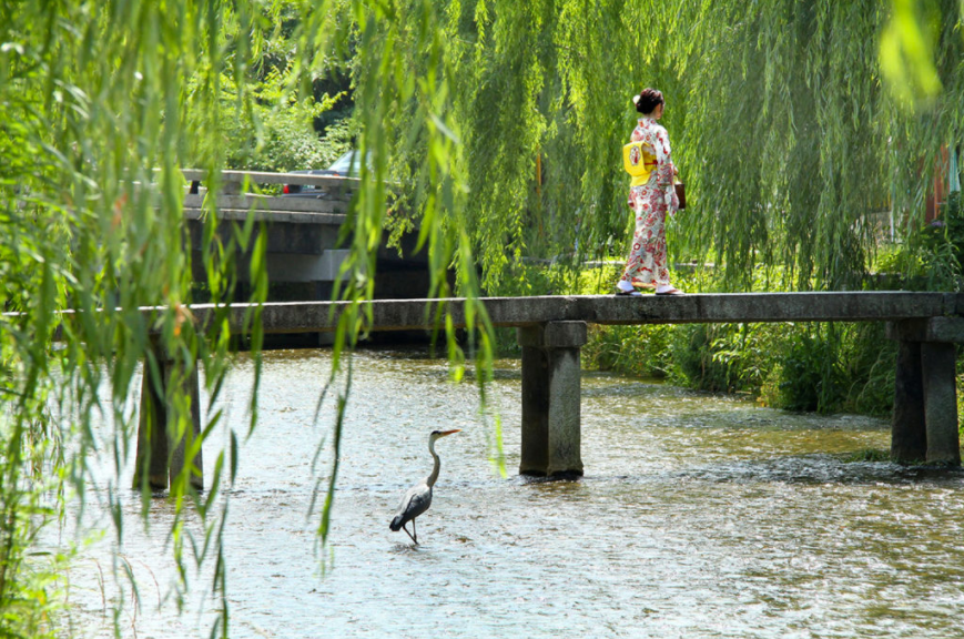 雨时京都，阴时京都，晴时京都，和我镜头里的京都