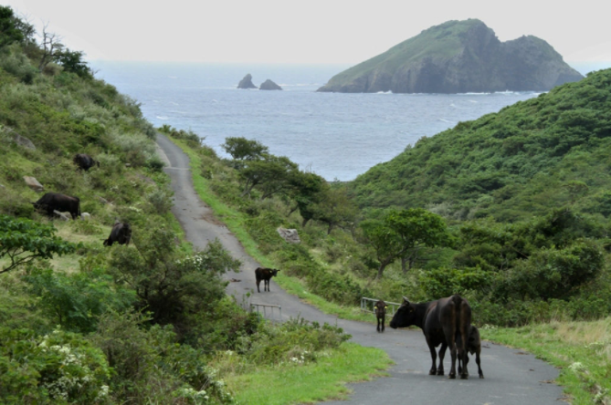 日本国家公园 大山隐岐国立公园 世界独一无二