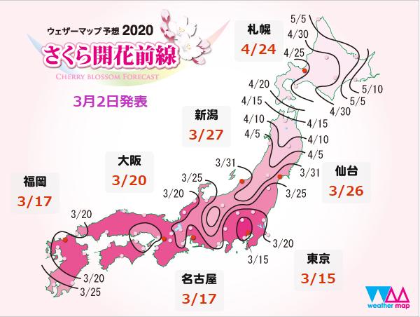 武汉珞珈早樱初绽，日本弘前樱花园何时等你争艳？