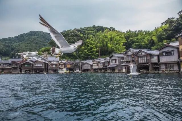 在京都，有这样一个依海而建的世外桃源....