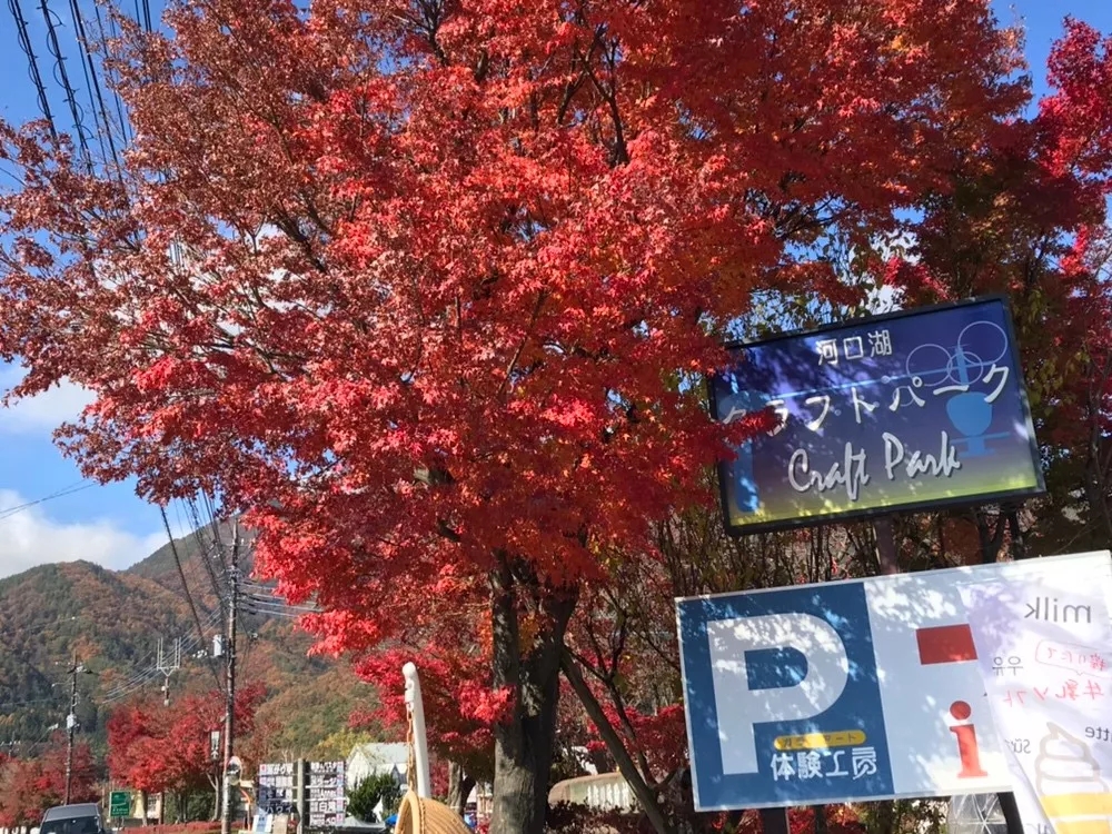 去河口湖除了看富士山，还可以体验精美的工艺品制作哦！