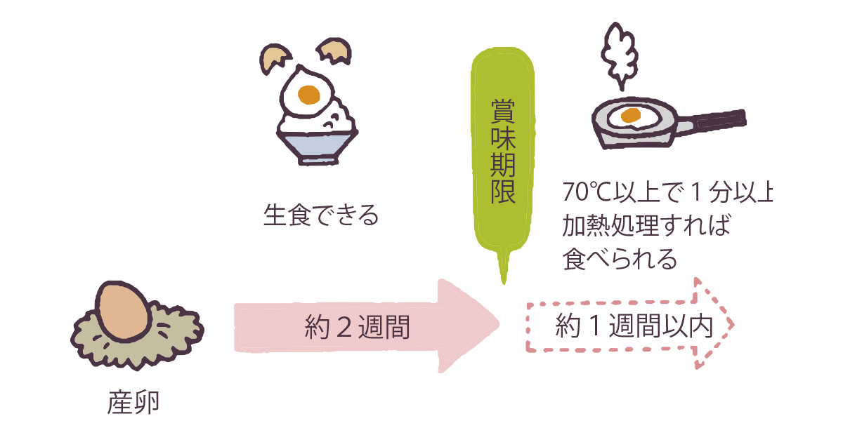 日本人为什么喜欢吃生鸡蛋？日本的鸡蛋有没有细菌呢？中国的鸡蛋可以生吃吗？