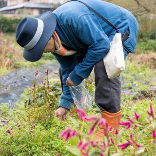 收藏好，这篇日本美食宝典，概括了你想在日本吃到的所有美食