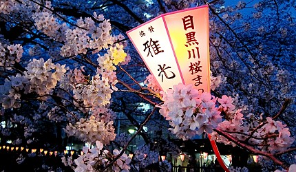 2020东京「夜樱」点灯资讯！除了目黑川还有这6个夜樱景点也是必去！