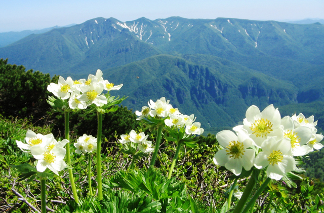 大山深处的秘境，去层云峡偷个懒