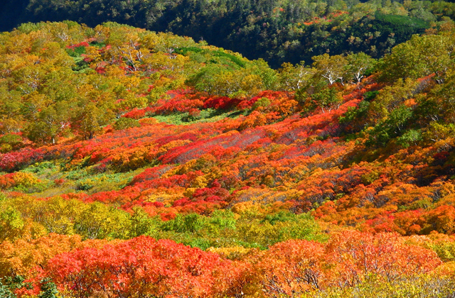 大山深处的秘境，去层云峡偷个懒