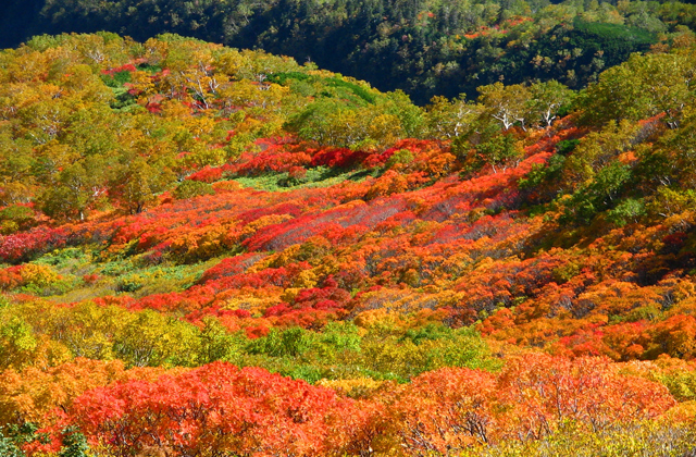 大山深处的秘境，去层云峡偷个懒