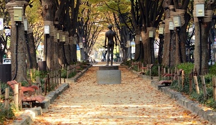 跟着伊坂幸太郎的脚步游仙台（上）